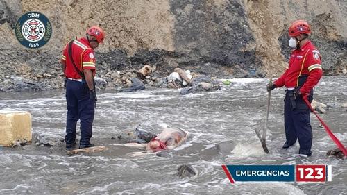 (Foto: Bomberos Municipales)