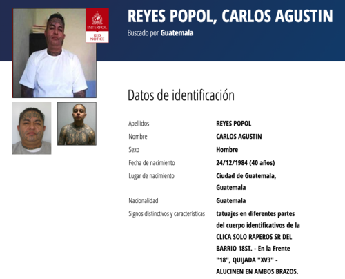 (Imgen: captura de pantalla/Interpol)