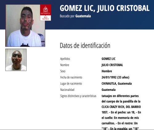 (Imagen: captura de pantalla/Interpol)