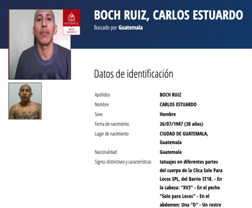 (Imagen: captura de pantalla/Interpol)