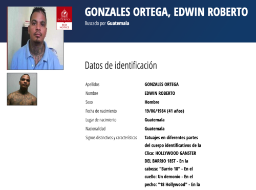 (Imagen: captura de pantalla/Interpol)