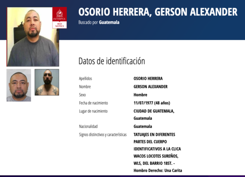 (Imagen: captura de pantalla/Interpol)