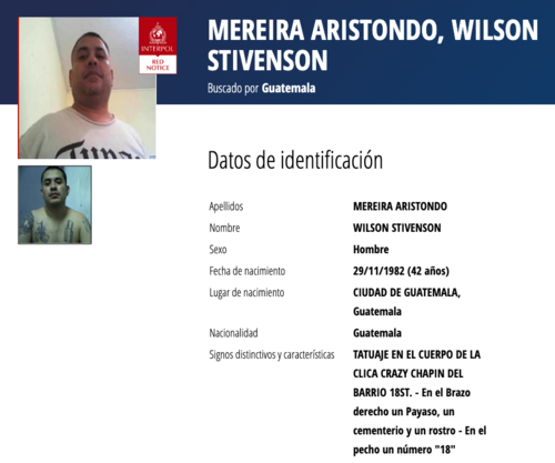 (Imagen: captura de pantalla/Interpol)