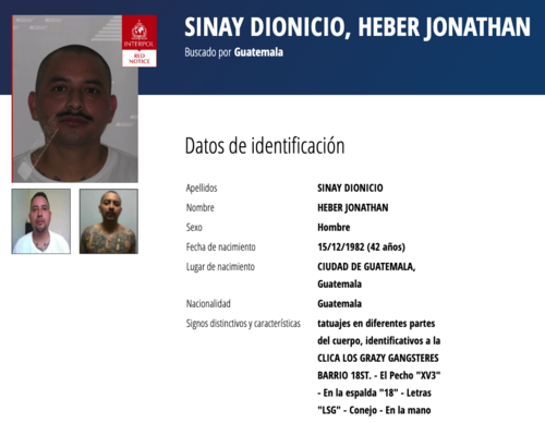 (Imagen: captura de pantalla/Interpol)