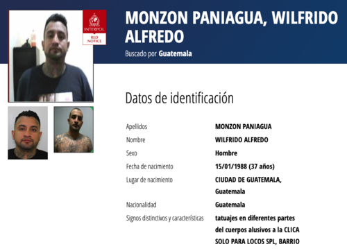 (Imagen: captura de pantalla/Interpol)