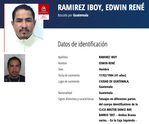 (Imagen: captura de pantalla/Interpol)