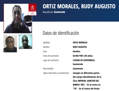 (Imagen: captura de pantalla/Interpol)