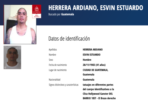 (Imagen: captura de pantalla/Interpol)