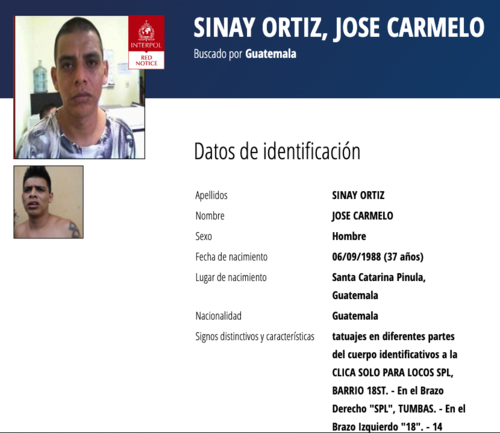 (Imagen: captura de pantalla/Interpol)