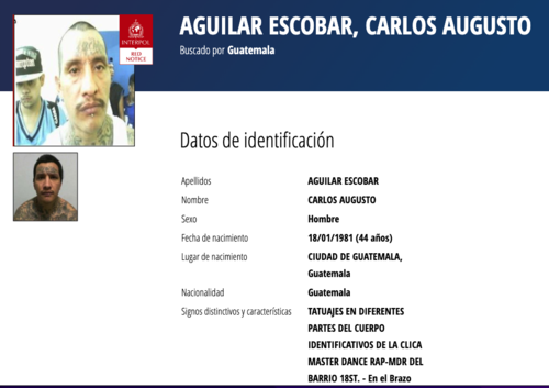 (Imagen: captura de pantalla/Interpol)