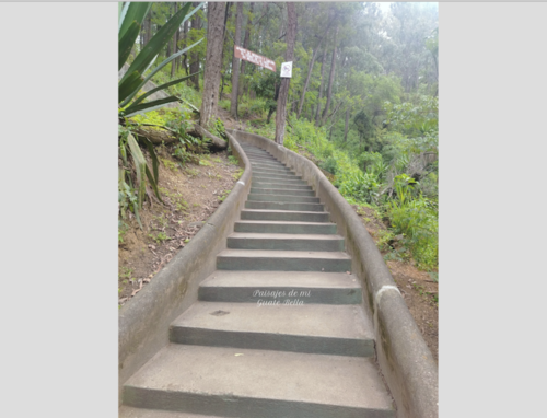 Son más de 300 gradas las que hay que subir para llegar a la cima a pie. (Foto: Paisajes de mi bella Guate)
