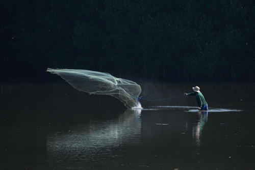 Lanza una atarraya. (Foto: Angel Revolorio/Colaborador)