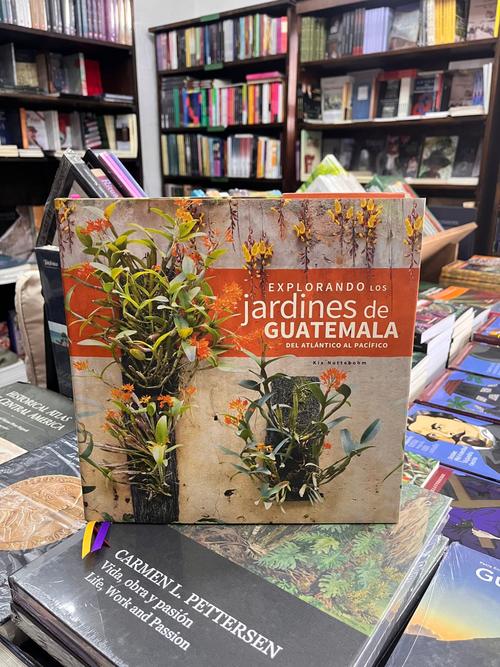 libros más leídos agosto 25 24