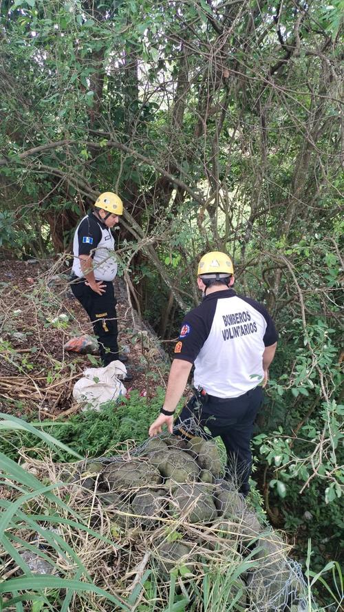 La búsqueda se hace a inmediaciones del río Ixpatz. (Foto: Bomberos Voluntarios)