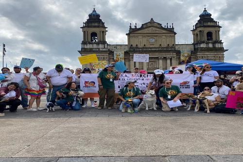 A pesar de las mesas técnicas realizadas con participación ciudadana y el respaldo de algunos legisladores como el diputado José Pablo Mendoza, el proceso sigue estancado. (Foto: Patitas a la obra)