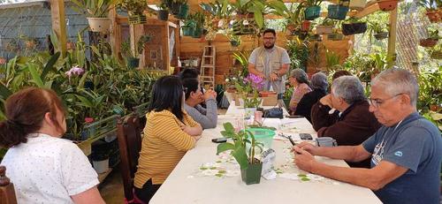 Salamá celebra la 32 edición de la Exposición de Orquídeas. Un encuentro para admirar, fotografiar y compartir la pasión por esta flor. (Foto: Cortesía/Asociación Bajaverapacense de Orquideología)