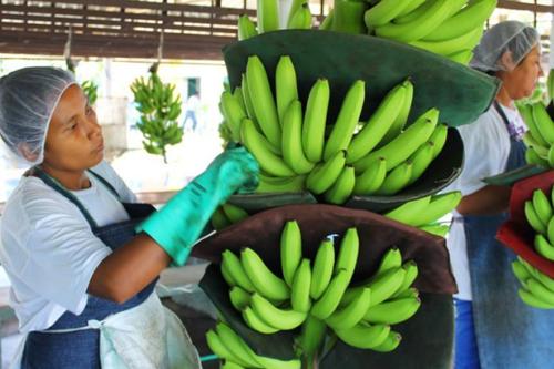 Aranceles, Guatemala, Estados Unidos, Negociaciones comerciales, exportaciones, Acuerdos, 03