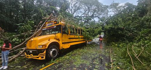 Un bus que transitaba en el lugar se vio afectado, cayéndole un árbol de gran tamaño. (Foto: Bomberos Voluntarios)