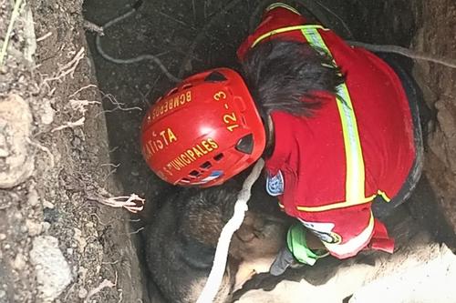 Bomberos Municipales, perro cae a pozo, rescatan a perro, socorristas, 02