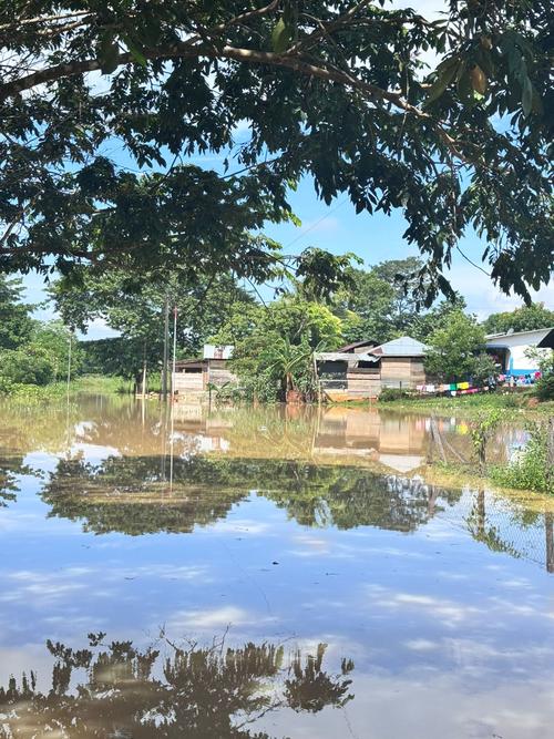Muchas viviendas fueron afectadas en Alta Verapaz. (Foto: Conred)