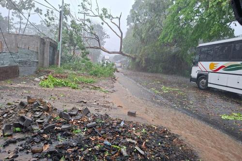 Lluvias fuertes, tormenta, Coatepeque, Quetzaltenango, árboles caídos, tránsito vehicular, 02
