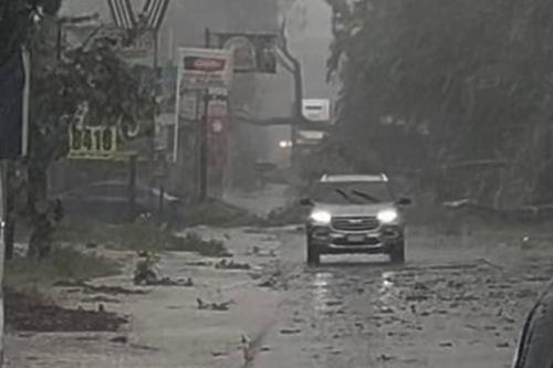 Lluvias fuertes, tormenta, Coatepeque, Quetzaltenango, árboles caídos, tránsito vehicular, 03