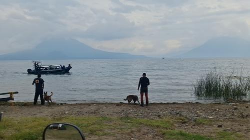 Los agentes caninos colaboran con el rastreo del cuerpo. (Foto: Alfonso Guárquez/Colaborador)
