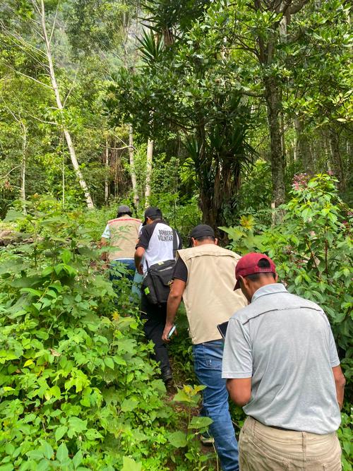 Micoleón, casa, liberación, conap, soy502, guatemala, noticias 3