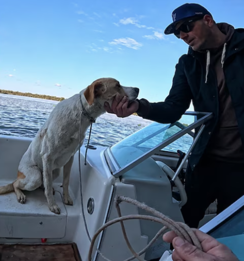 Rescatan, perro, amarrado, risco, rio, noticias, guatemala, soy502 2