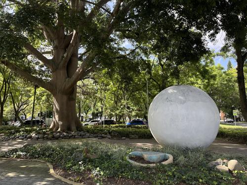 El jardín de la Plaza Rubén Darío reúne diversas especies de plantas que contribuyen a crear un espacio verde en la ciudad.