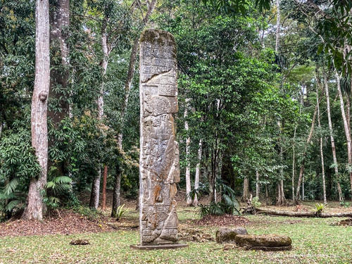 Dos Pilas es uno de los sitios arqueológicos más conocidos del municipio. (Foto: lossenoresdelaselva)