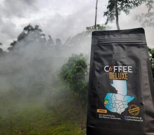 El equilibrio entre el clima tropical de San Marcos y el desarrollo de los cafetos en las parcelas de Coffee Deluxe. (Foto: Coffee Deluxe)