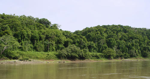 El río Usumacinta guía el recorrido entre paisajes de selva y una extraordinaria riqueza natural. (Foto: Archivo)