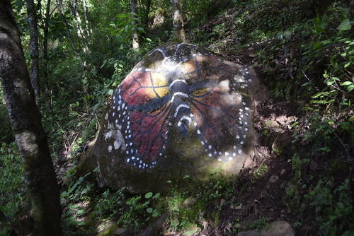Sobre una piedra inmortalizaron una mariposa monarca. (Foto: José García/Colaborador)