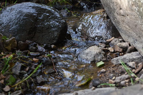 El sendero posee un nacimiento de agua que es un atractivo del lugar. (Foto: José García/Colaborador)