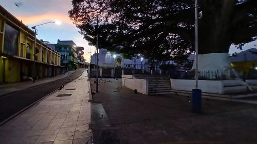 Así luce la ceiba en la actualidad. (Foto: Palin Tinimit)