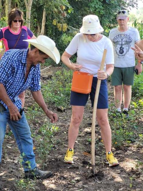 Les enseñan el proceso de recolección de la manía. (Foto: Descubre Oriente Gt)