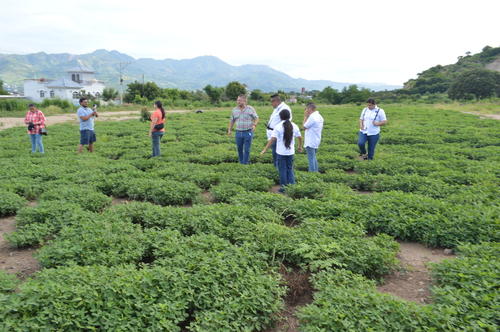 El tour de la manía busca dar a conocer a turistas lo que se produce en este departamento. (Foto: Juan Carlos Aquino/Colaborador)