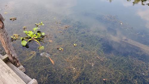 La carencia de plantas de tratamiento de residuos contribuye a la fuga de contaminantes. (Foto: Alfonso Guárquez)