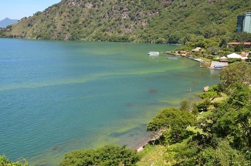 Al aumentar la temperatura, la presencia de la cianobacteria es más notoria, como ocurrió en 2015. (Foto: Alfonso Guárquez)