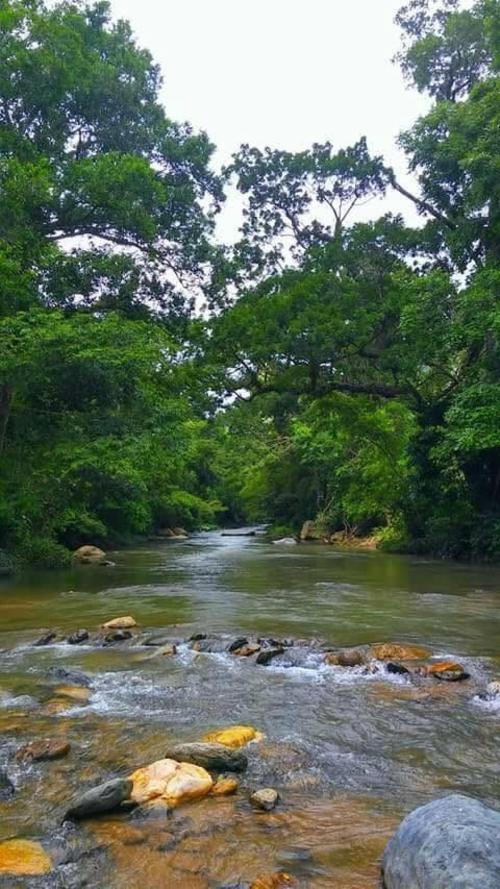 El sitio, por ser un destino natural, no tiene costo de entrada, solo piden mantenerlo en buen estado. (Foto: Derek Pineda)
