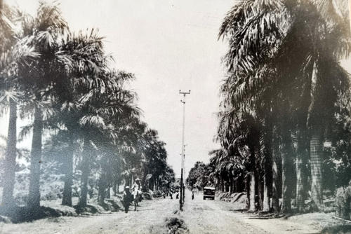 Fotos antiguas de la calzada que se encuentran en exhibición en el museo de arqueología. (Foto: Angel Revolorio/Colaborador)