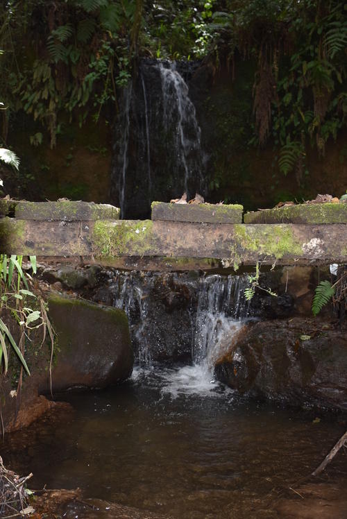 Los vecinos llegan al lugar para disfrutar de la naturaleza que ofrece este centro ecológico de recreación. (Foto: Pedro Sicajau/Colaborador)