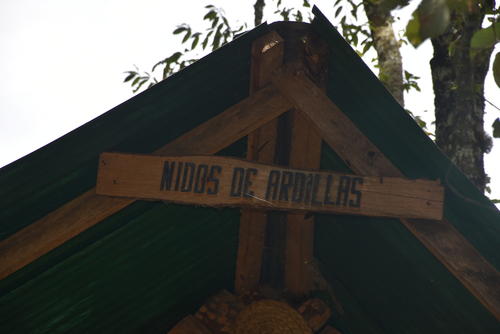 Se han habilitado espacios para que aves y otros animales puedan anidar en la zona. (Foto: Pedro Sicajau/Colaborador)