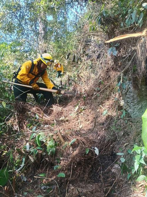 Autoridades recomiendan evitar quemas para prevenir incendios forestales que afecten la biodiversidad. (Foto: CONRED)