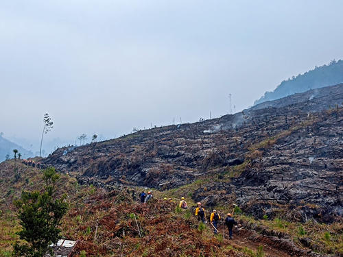 Autoridades refieren que el 90 % de estos siniestros son causados por actividades humanas. (Foto: Archivo)