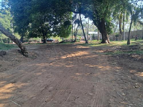 Durante las diligencias fueron incautadas diferentes maquinarias de construcción y varios árboles derribados. (Foto: MP)