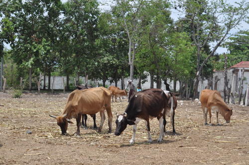 Tienes que seguir una serie de requisitos para poder iniciar este negocio. (Foto: Archivo)