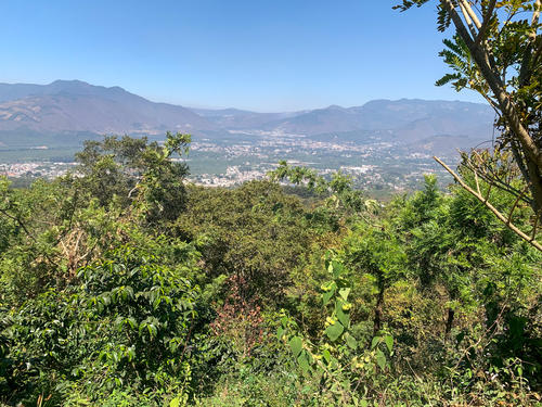 Los paisajes que podrás disfrutar durante la ruta serán únicos. (Foto: Carlos Vicente/Colaborador)