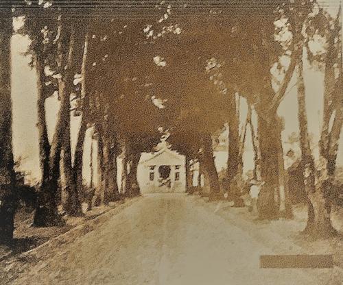 Esta alameda fue conocida como la del hospital, ahora Bulevar Universitario. (Foto: Josué Ardeano/Colaborador)